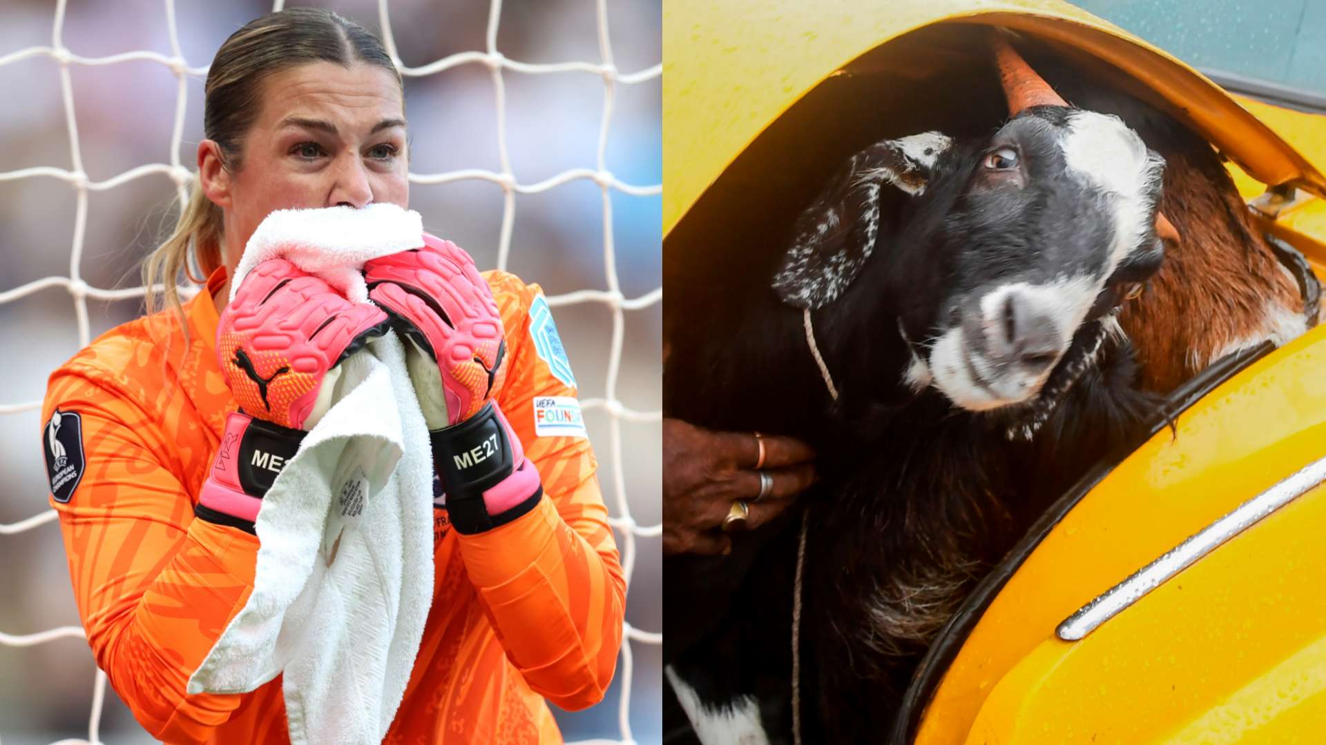 Is Earps allergic to goats?! Lioness reveals ‘strangest text’  