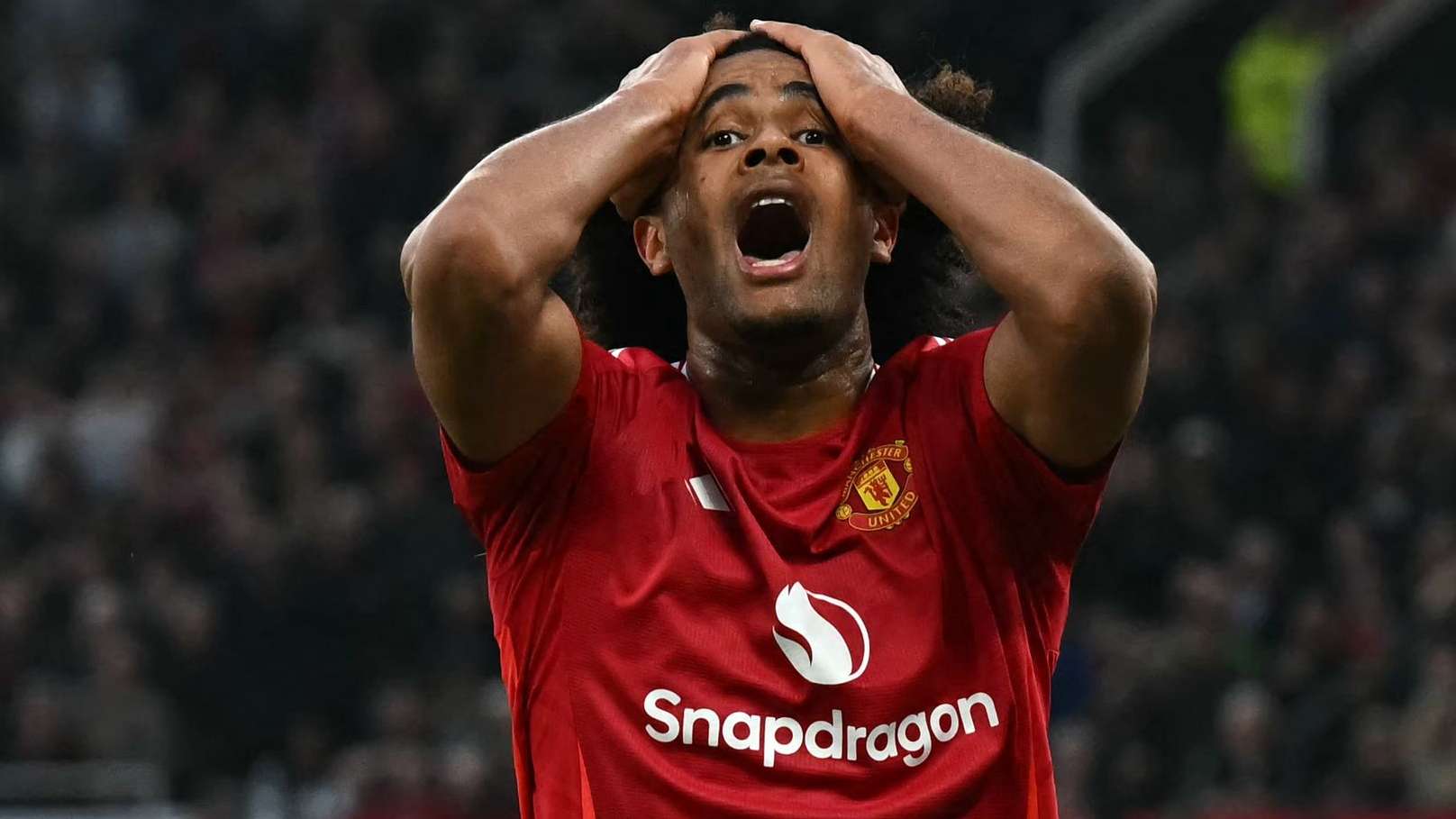Zirkzee sent brutal message by Koeman after Netherlands squad snub  