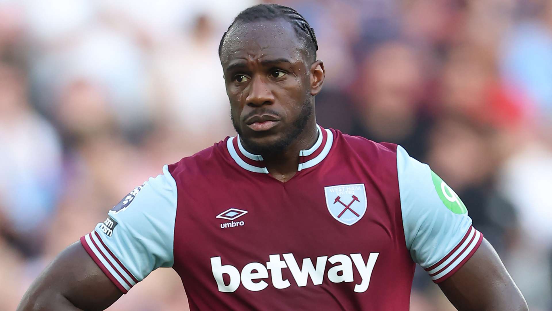 Antonio takes up TNT pundit role after West Ham contract snub  