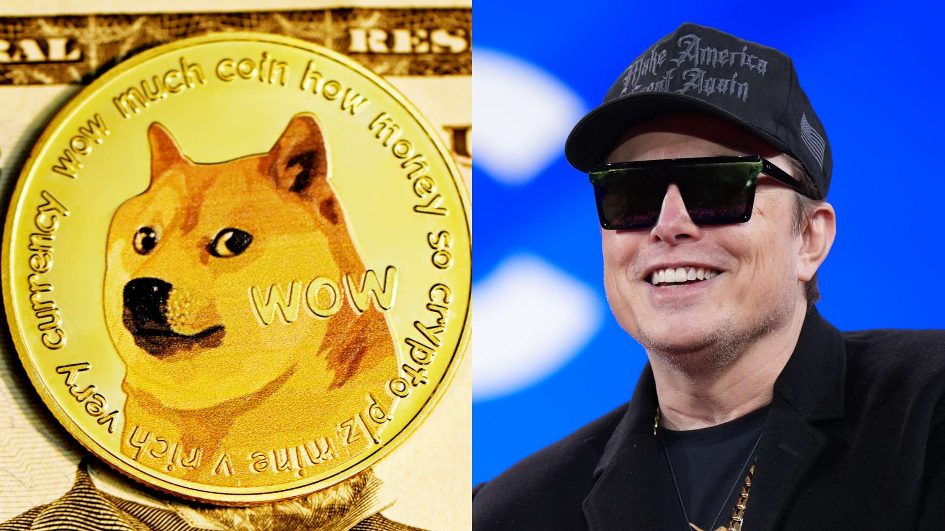 Elon Musk's favourite cryptocurrency buys Italian club  