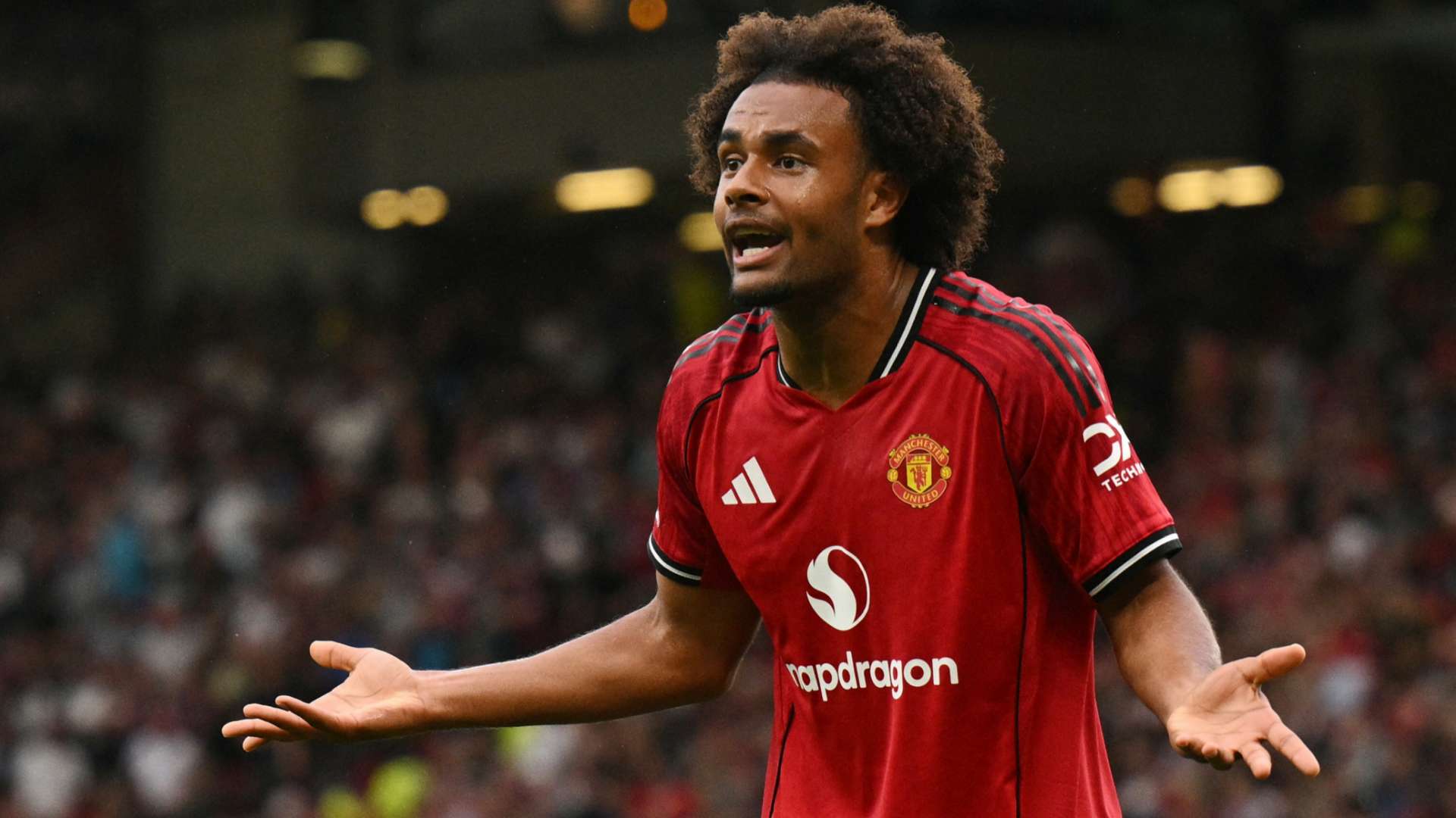 Zirkzee told leaving Man Utd is certain to revive his career  