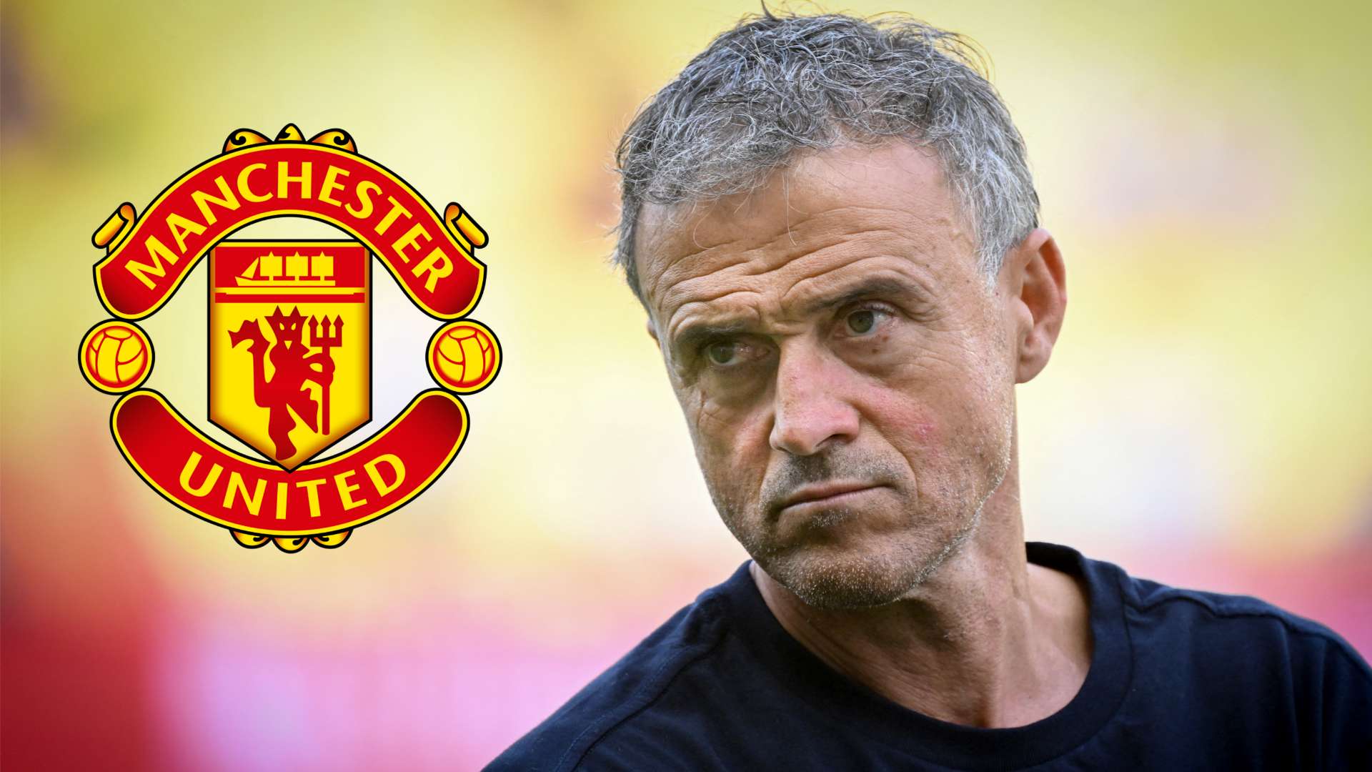 Enrique billed as perfect choice to fix Man Utd 'rollercoaster'  