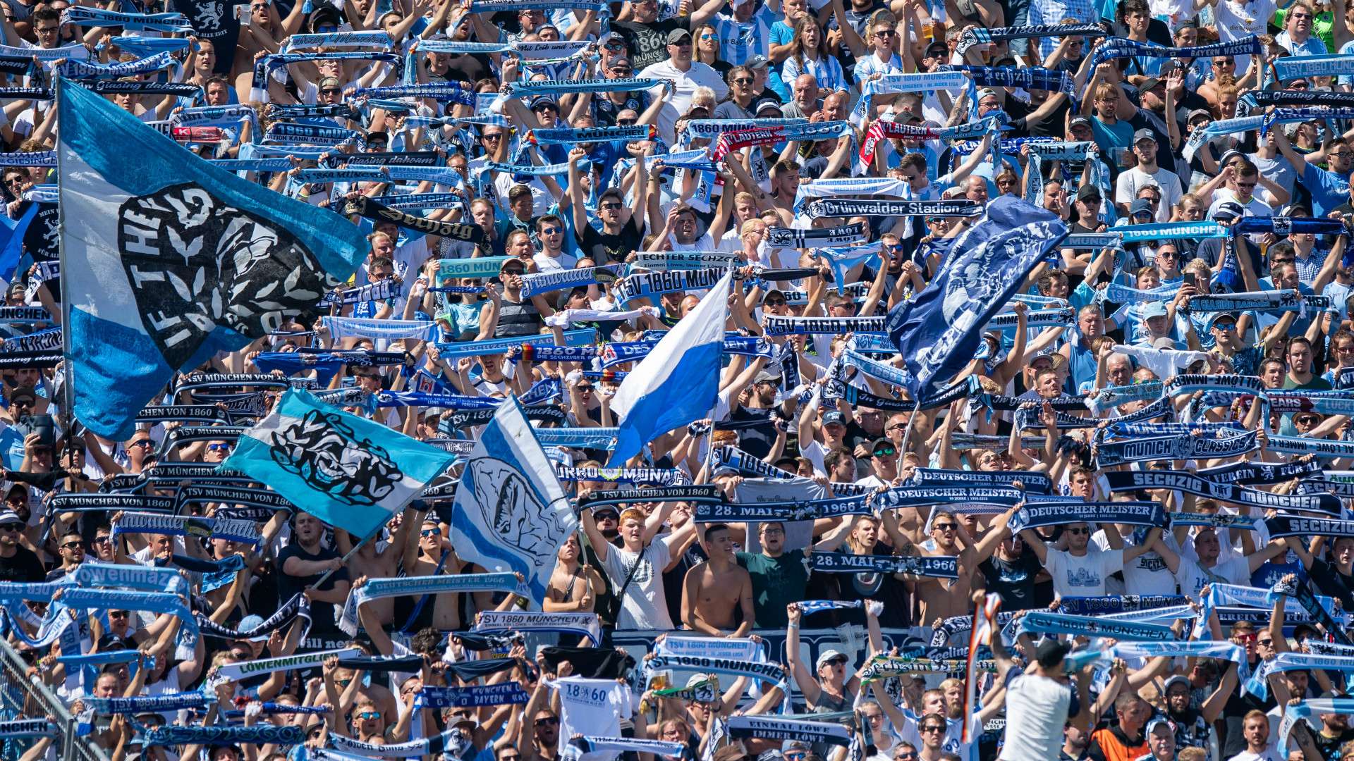 "Sometimes you have to take a step back!" The Lions are staring into the abyss  